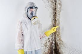 Best Forensic Mold Investigation  in , HI